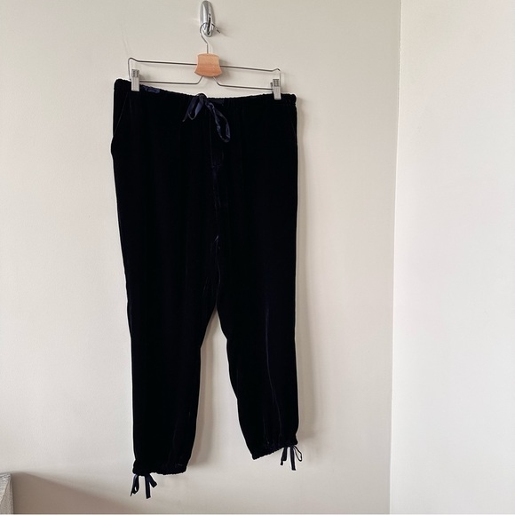 JOIE-DYRE Velvet Drawstring Jogger Pants (Size:Large) - Picture 8 of 11